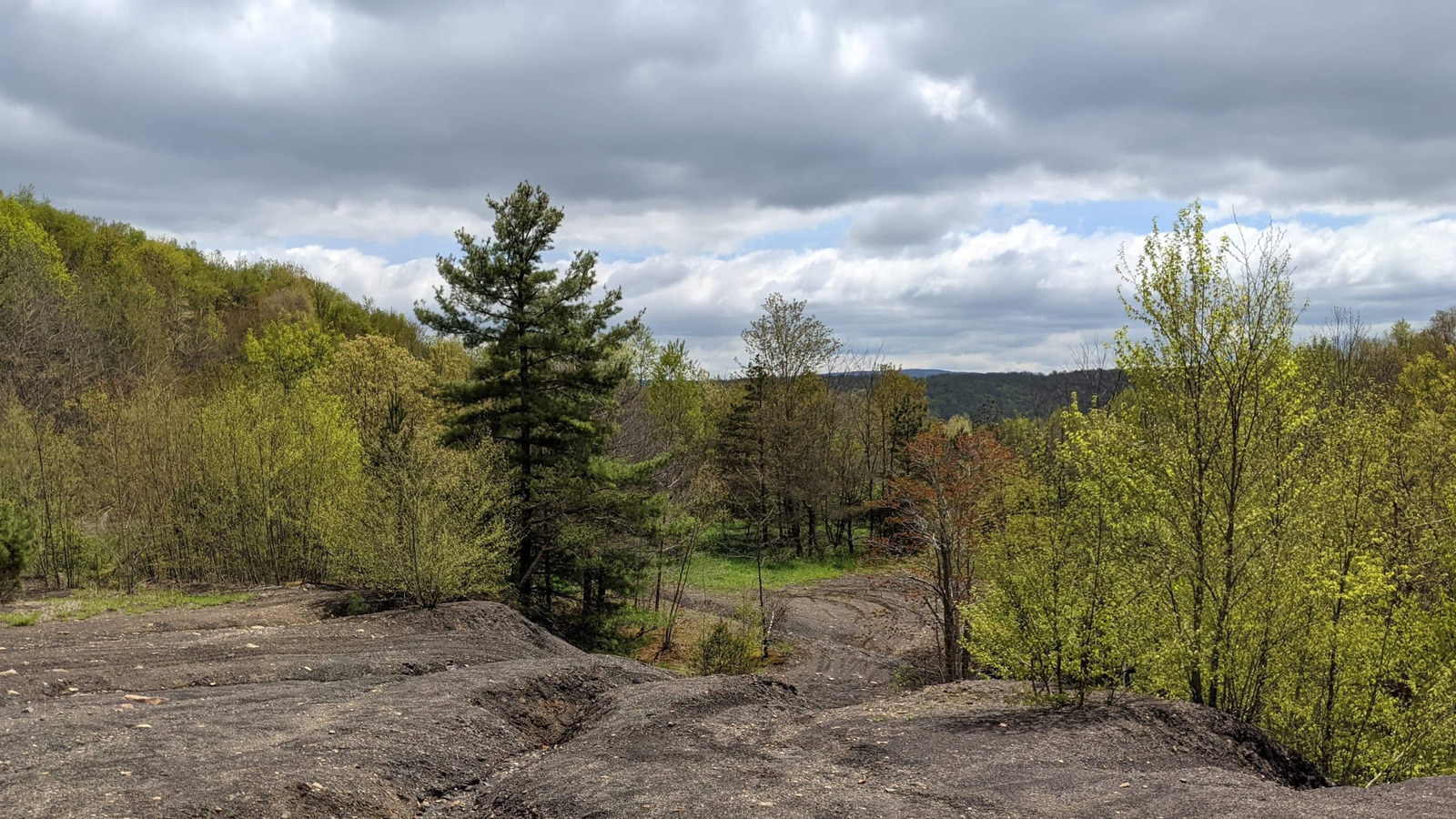 Nestled In Western Maryland's Mountain Region Is A State Park With Scenic Wetlands, Trails, And Fishing