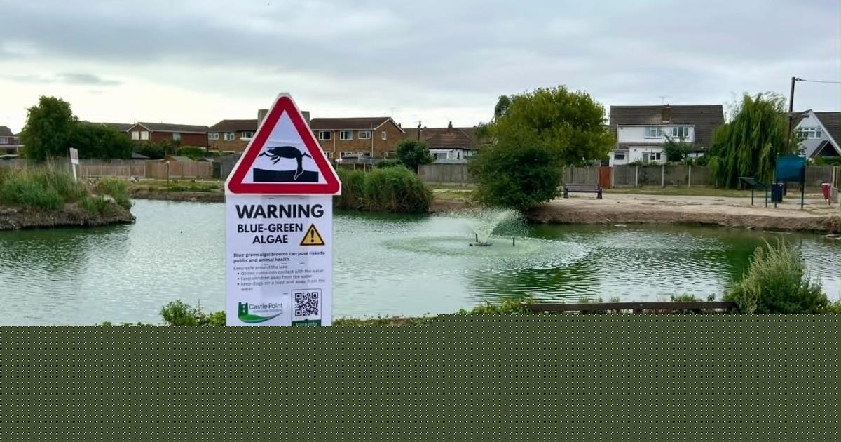 Hotel closes lakeside areas after toxic algae at south Essex lake sparks safety fears