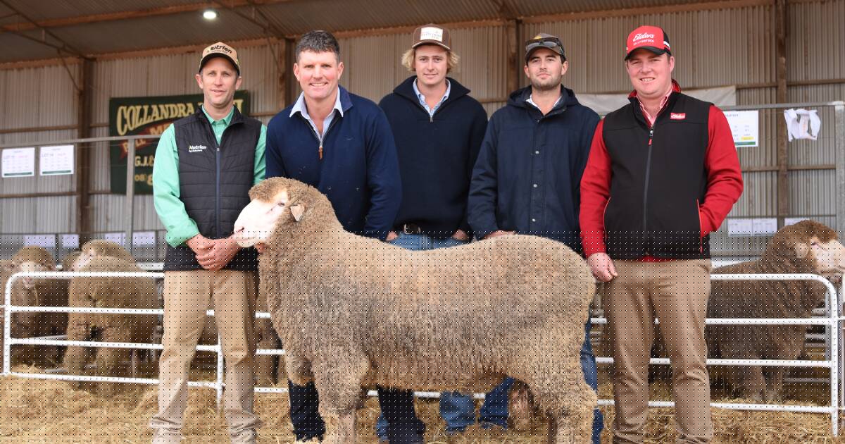 Top hits $20,000 at Collandra North, full clearance and strong average