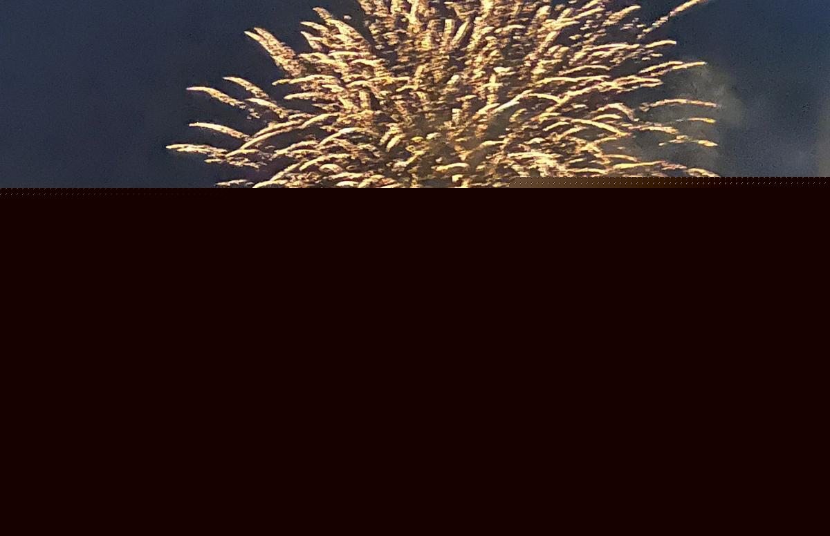 Davenport’s Red White & Boom To Be Part Of Alternating Currents Festival