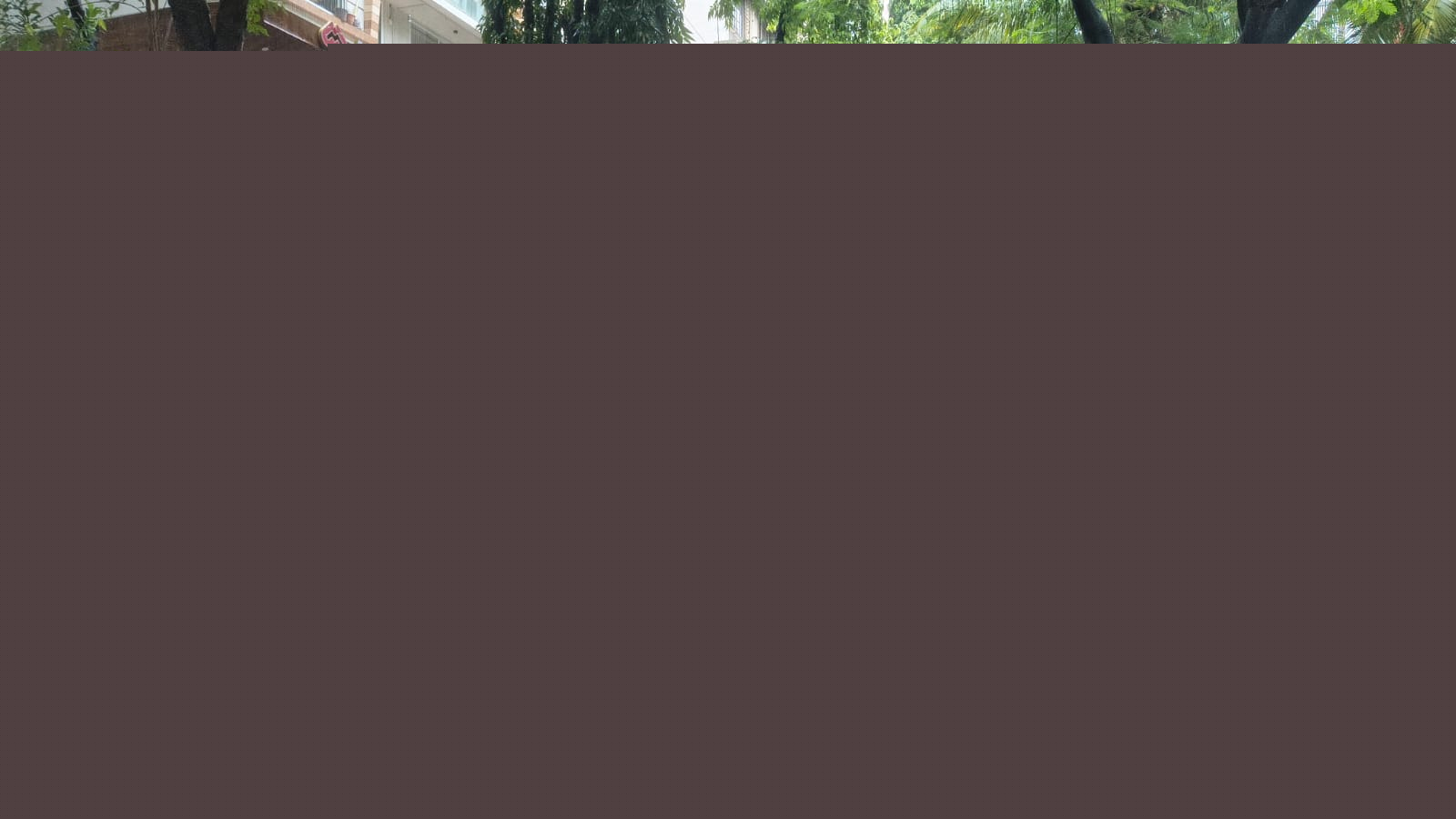 Fresh probe ordered into Chembur tree collapse a month after boy’s death