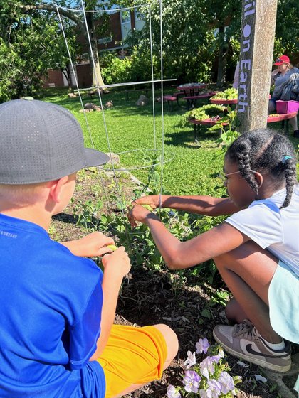 Bierbaum garden club awarded grant