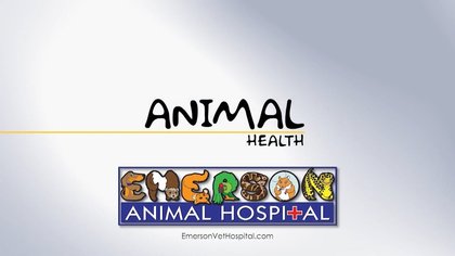 Animal Health (Bonding with you Pet) – 01/29/26