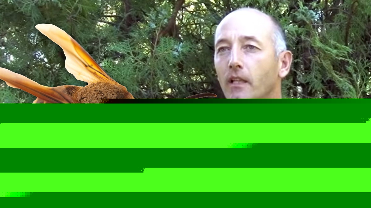 "UMREĆU" Bobana UBO STRŠLJEN dok je sekao drva, a onda se odjednom SRUŠIO: Sekunde ga delile od smrti, lekari ga spuštali TRAKTOROM sa planine