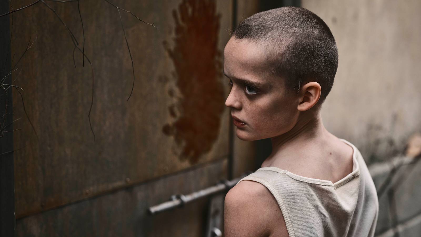 Bring Her Back, Toxic Avenger, The Naked Gun, and every movie on streaming this week