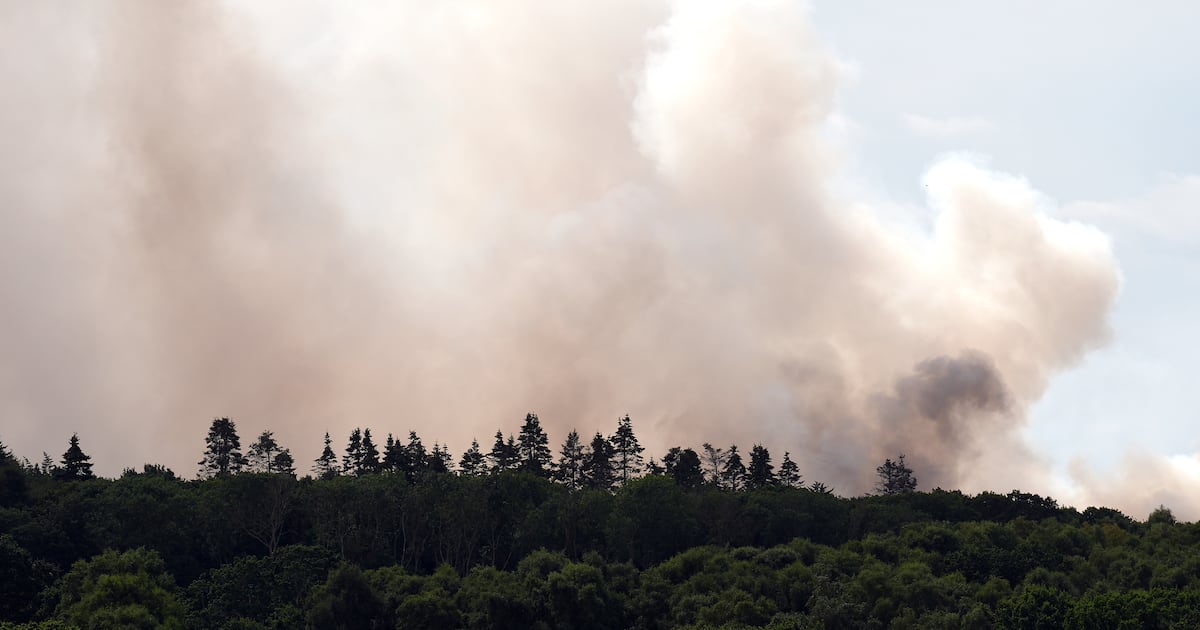 Whole of Wales in drought as UK battles heat, wildfires and extreme dry weather