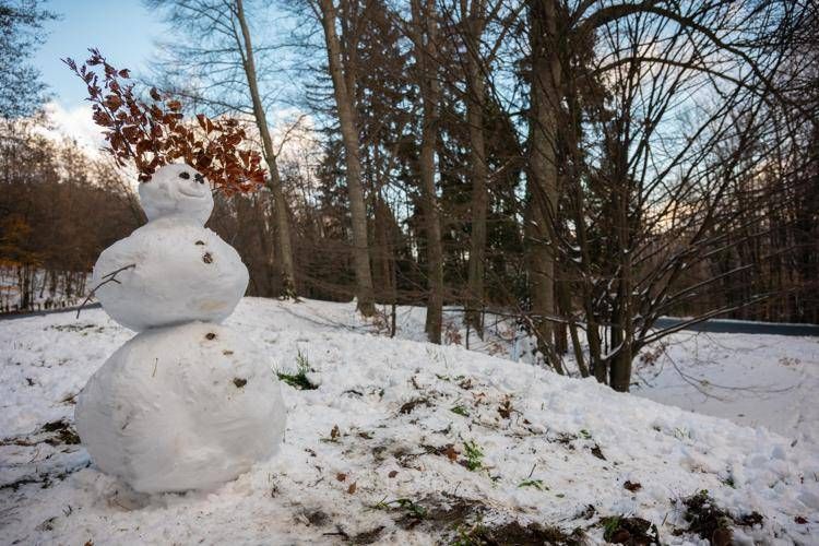 Ecco i giorni della merla, dal 29 al 31 gennaio la tradizione del grande freddo
