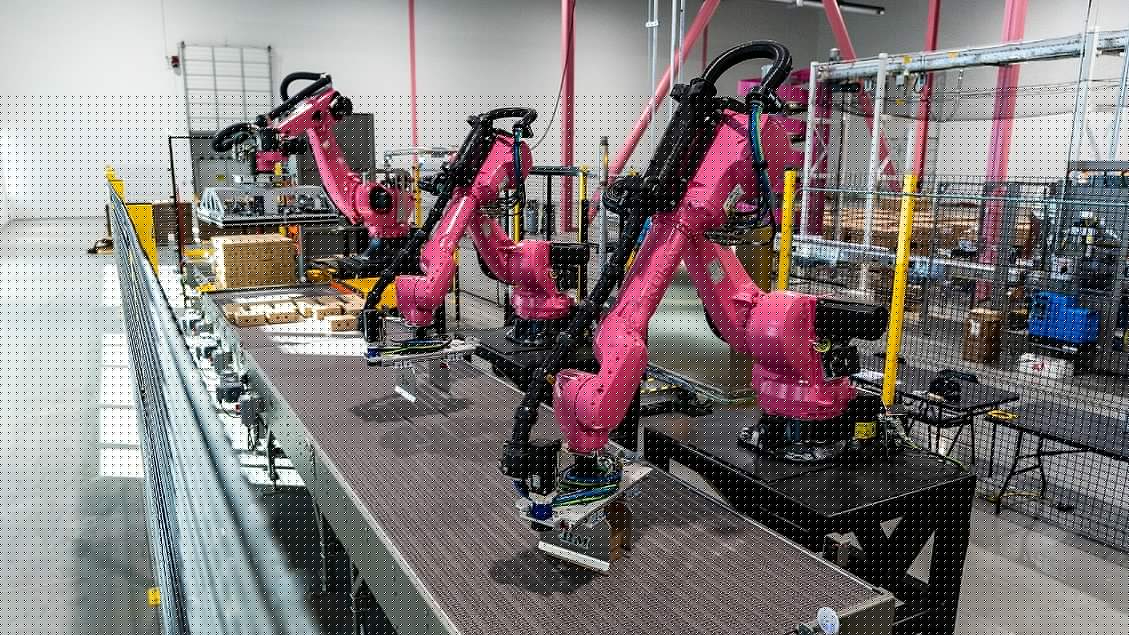 How Coconut Cult Keeps Culture Alive through Automation