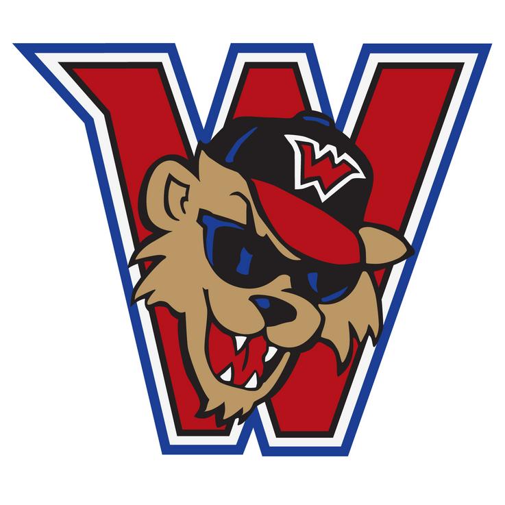 Wild Things game rained out