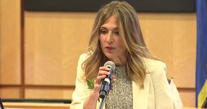 City councils grapple with emails, presenters from outside voter base