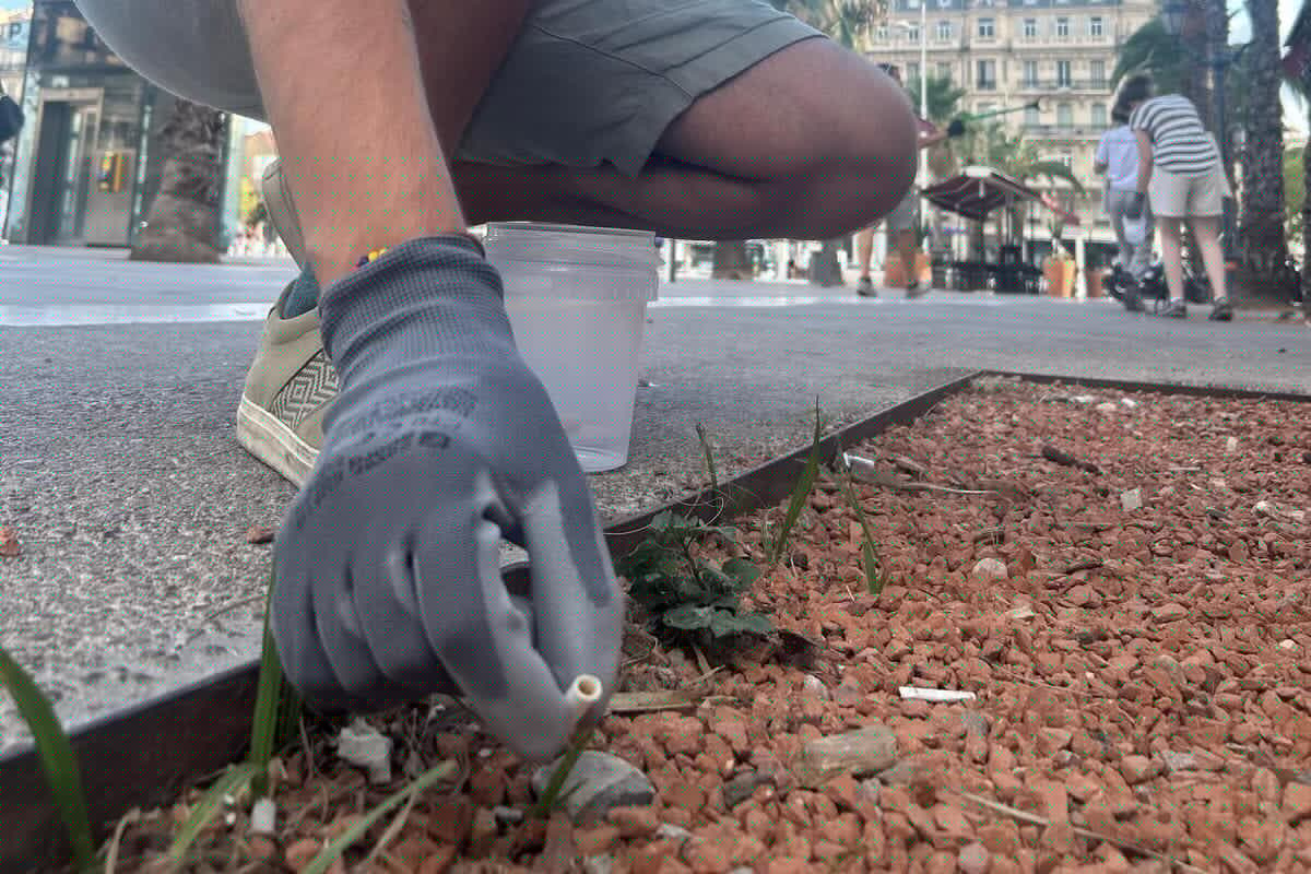 « On ramasse 10.000 mégots en 1 heure » : des dizaines de personnes se mobilisent pour nettoyer la place de Liberté à Toulon