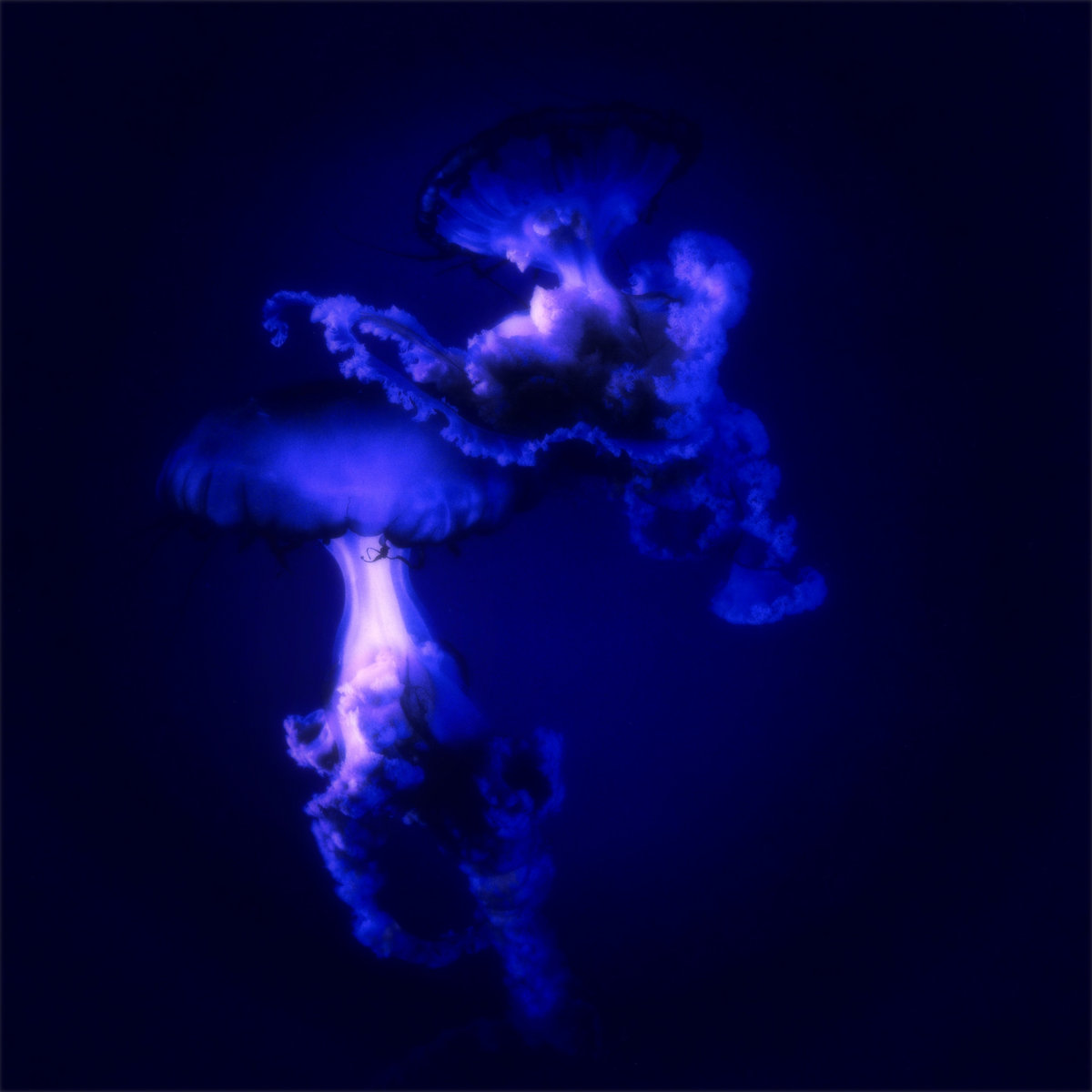 Waves Crashing - In The Blur (remix) (Audiomanic Records)