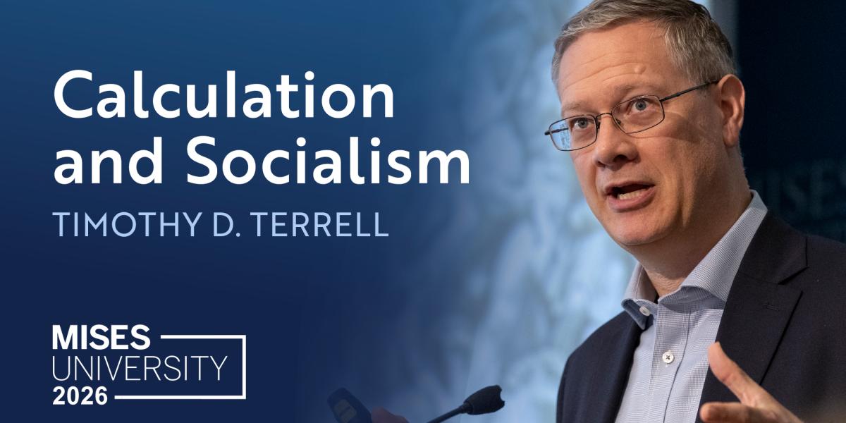 Calculation and Socialism