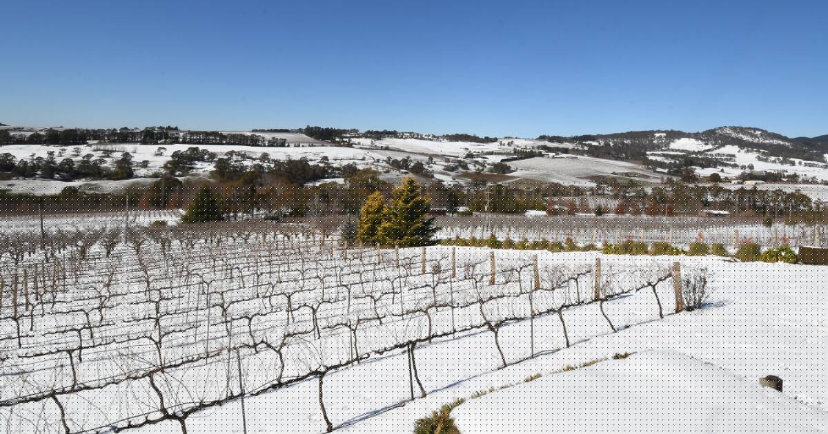 Bare peaks and mild nights: are our legendary snowy winters gone for good?