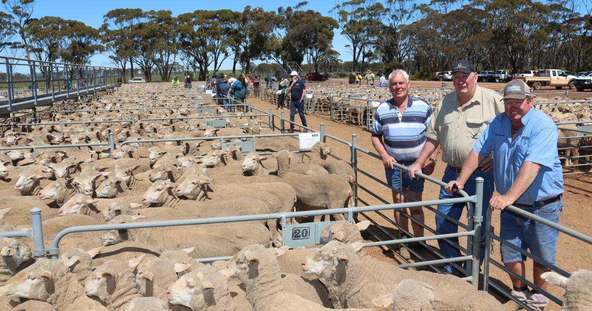 Entire yarding snapped up by local and interstate buyers at Wheatbelt sale