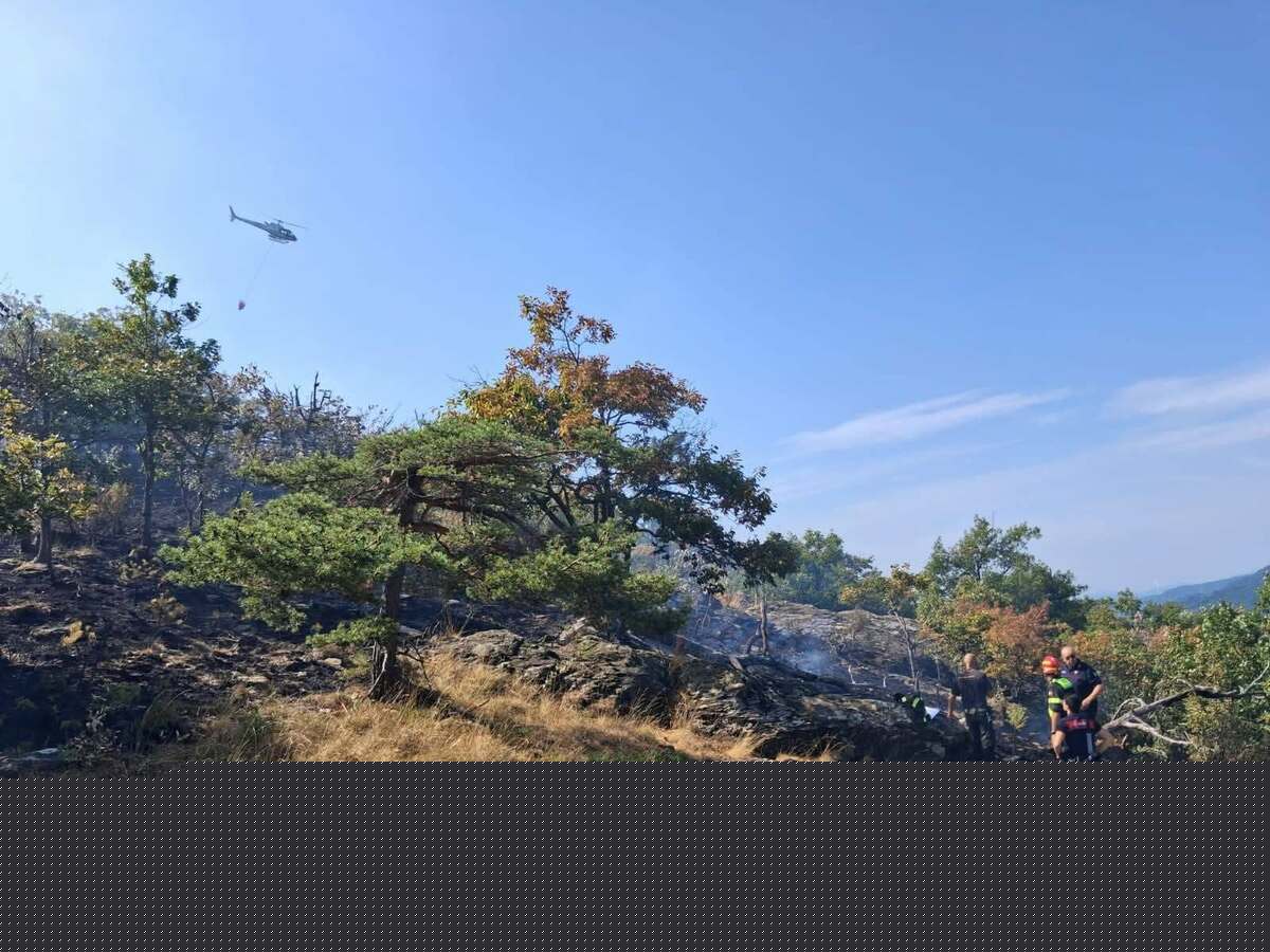 Incendio nei boschi a Stella Santa Giustina, il rogo in bonifica. Il Comune: "Una macchina operativa tempestiva ed efficiente" (FOTO)