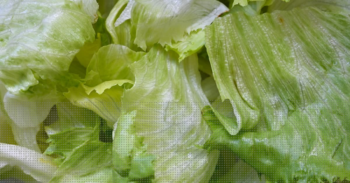 CDC expands iceberg lettuce cyclospora outbreak to 15 states