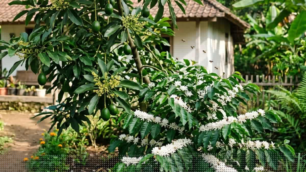 7 Tanaman Pendamping Alpukat yang Membantu Penyerbukan Alami, Bikin Buah Lebat