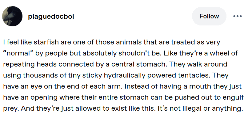 Tumblr - They are bizarre