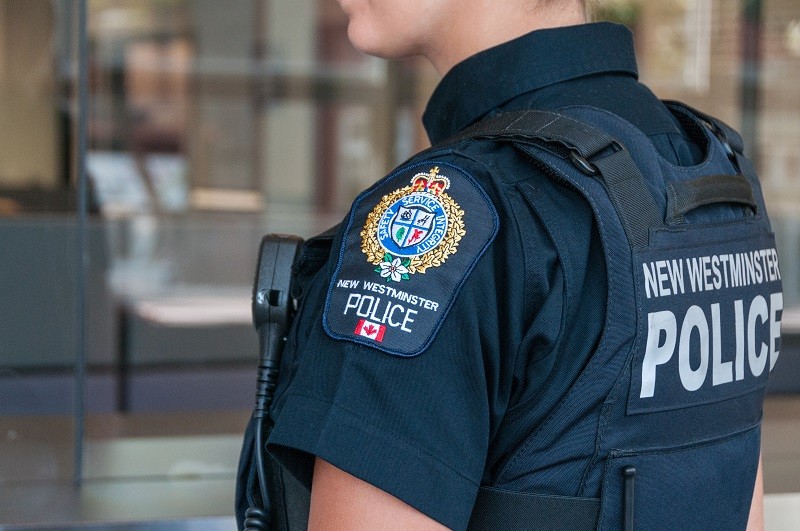 Very detailed suspect description by witnesses leads to quick arrest in break-and-enter