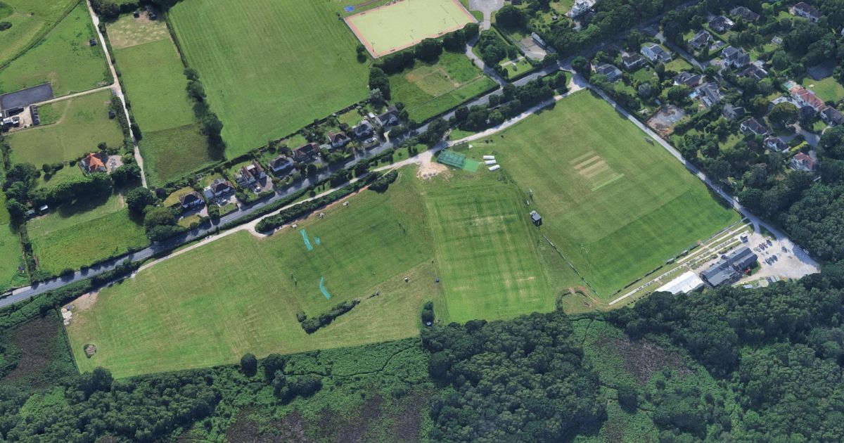 Rugby club seeing losses as bid made to save it