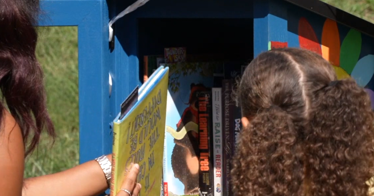 Queen City Book Bank opens 250th Little Free Library in Avondale, expanding literacy access in Cincinnati