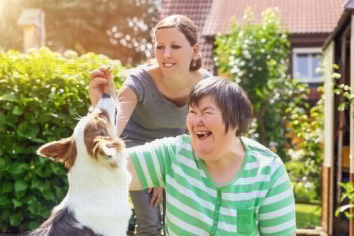 Begin your career in social care with the Open Training College