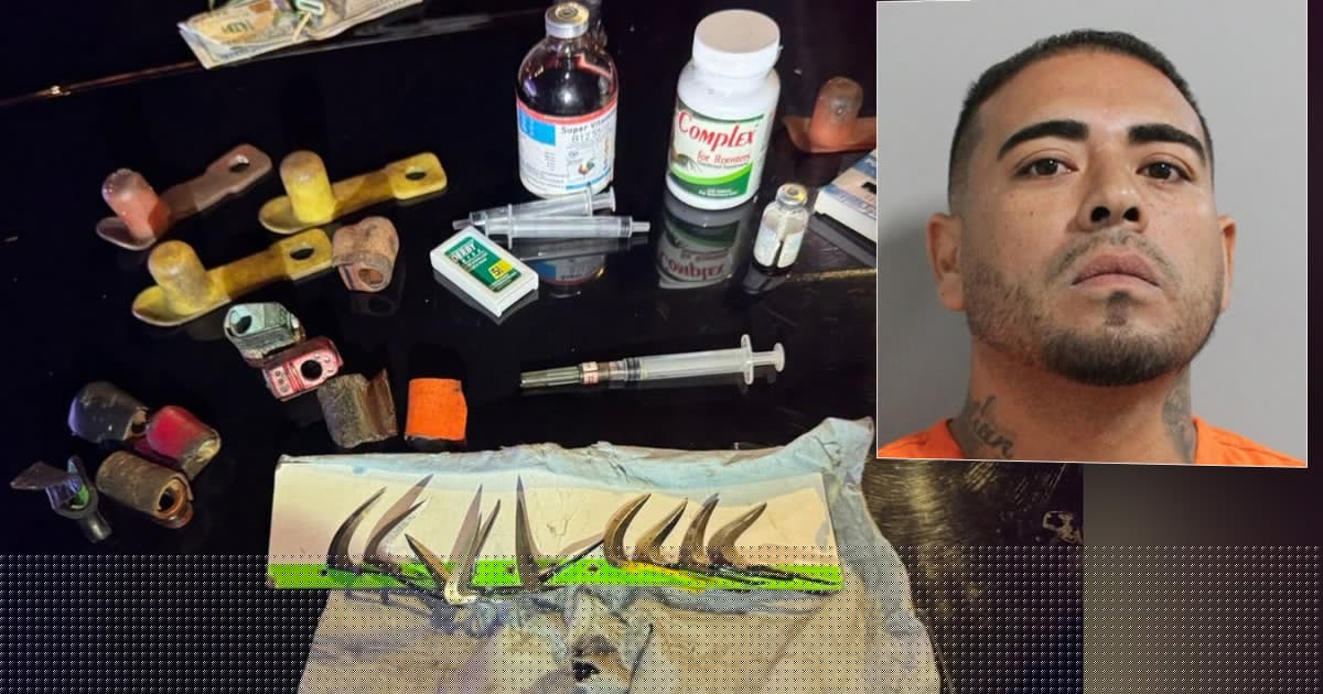 Lakeland cockfighting arrest: Traffic stop leads to charges against Plant City man
