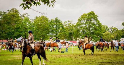 Here is our pick of what's happening this weekend