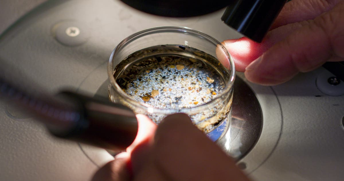 Microplastics detected in most heart attack patients' blood in startling new study