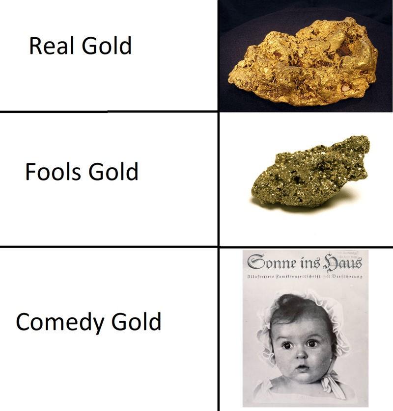 History Memes - The Nazis were never accused of being too smart | History Memes