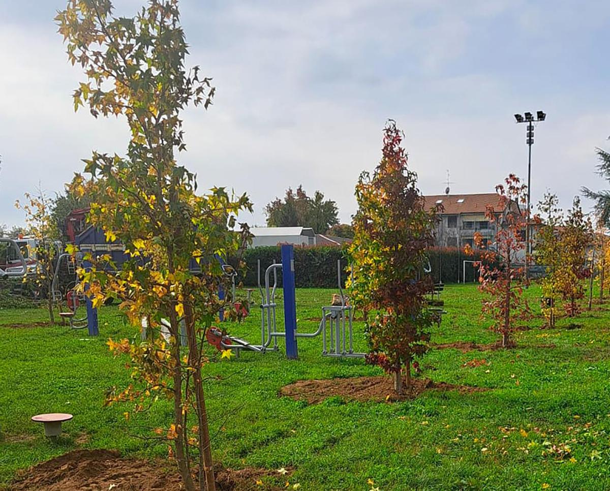 “Stanze” in ombra per riparare le panchine, l’area verde riparte da qui