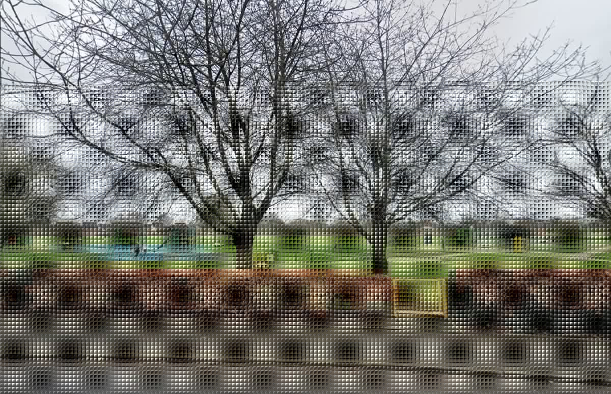 Boy chased around Penwortham park by knife-wielding teenager as families watch in horror