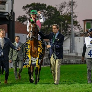 Trainers Weekly Briefing: Justin Snaith and more