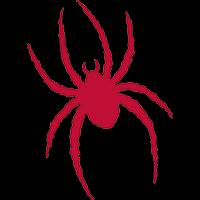 Game Day: RV Spiders at Bucknell