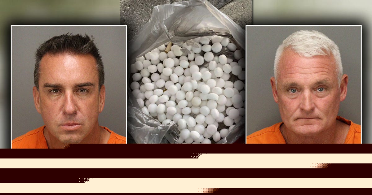 St. Pete Beach mothballs: Two men arrested in plot to disrupt nesting shorebirds