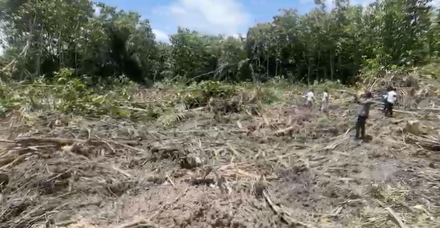 JoyNews uncovers Chinese-backed galamsey on River Bisi despite MCE’s denial