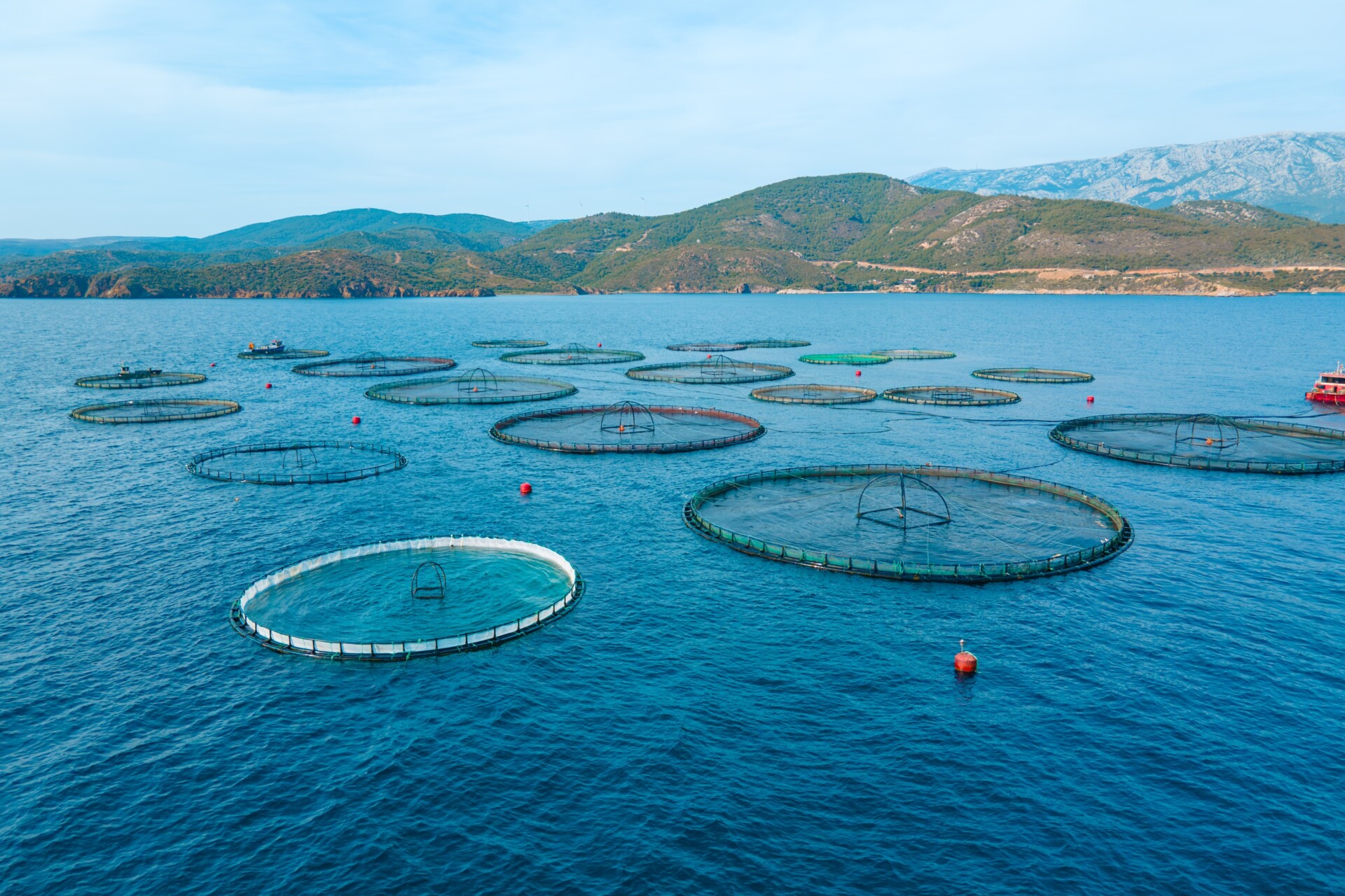 Greek fish farming in the “nets” of pending issues