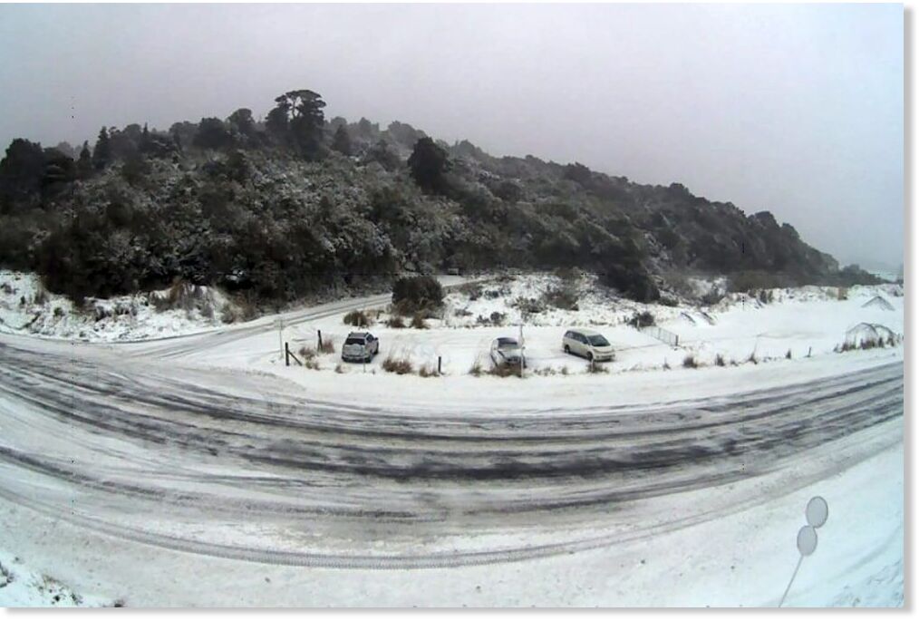 Rare snow blankets New Zealand cities and falls at sea level