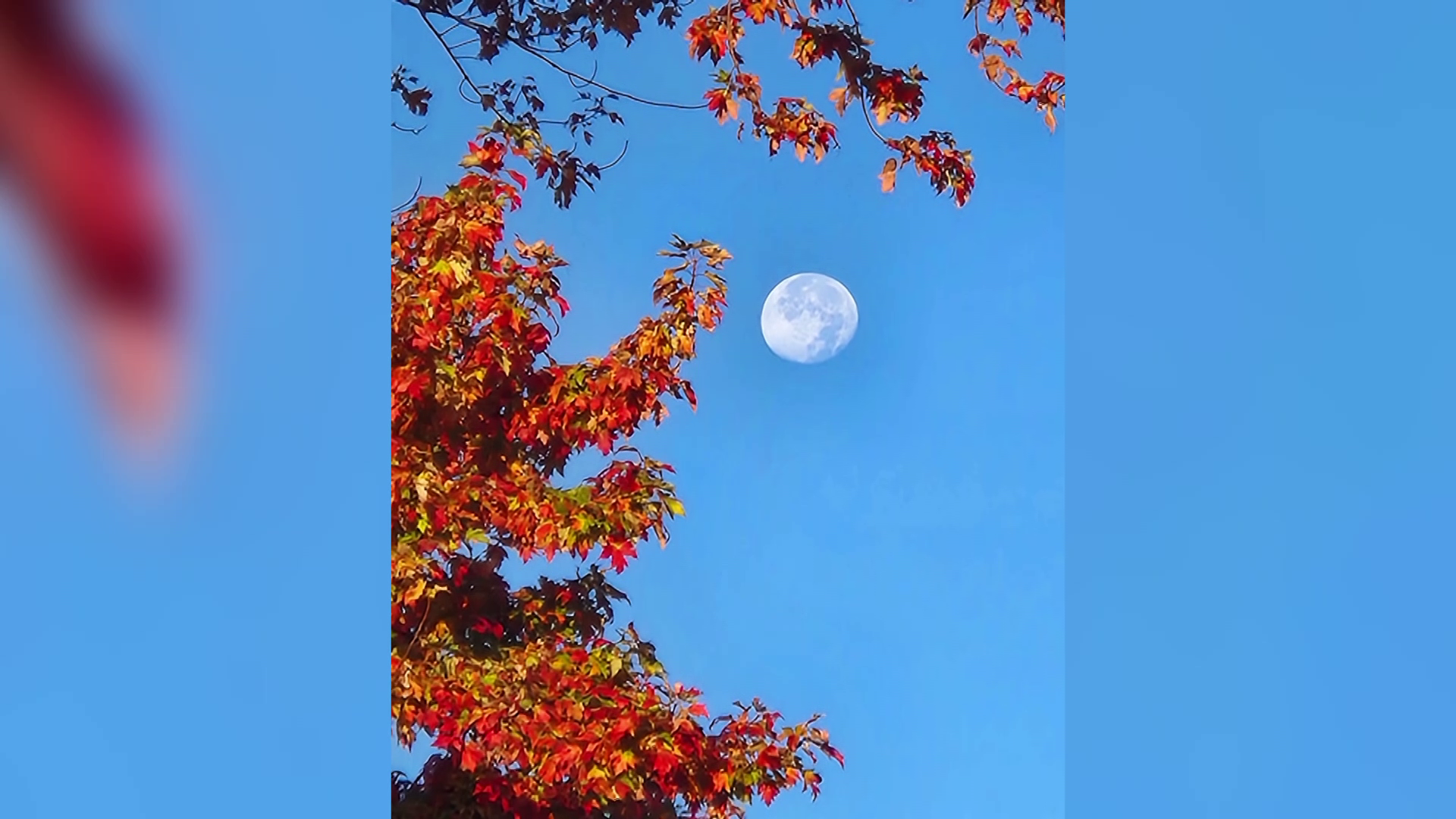 Supermoon viewing party set for Oct. 5 at Villa Terrace