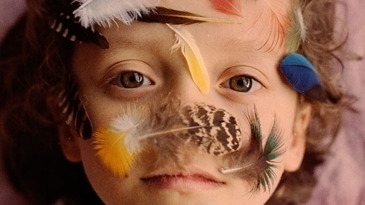 Gli scatti più spettacolari dell'anno arrivano a Milano: la grande mostra fotografica dei Sony World Photography Awards