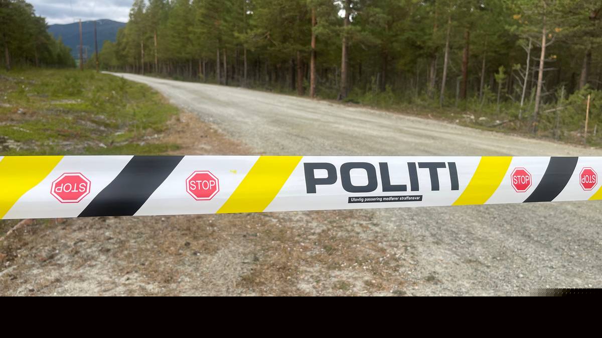 Kontroll på farlig rømling i Lesja