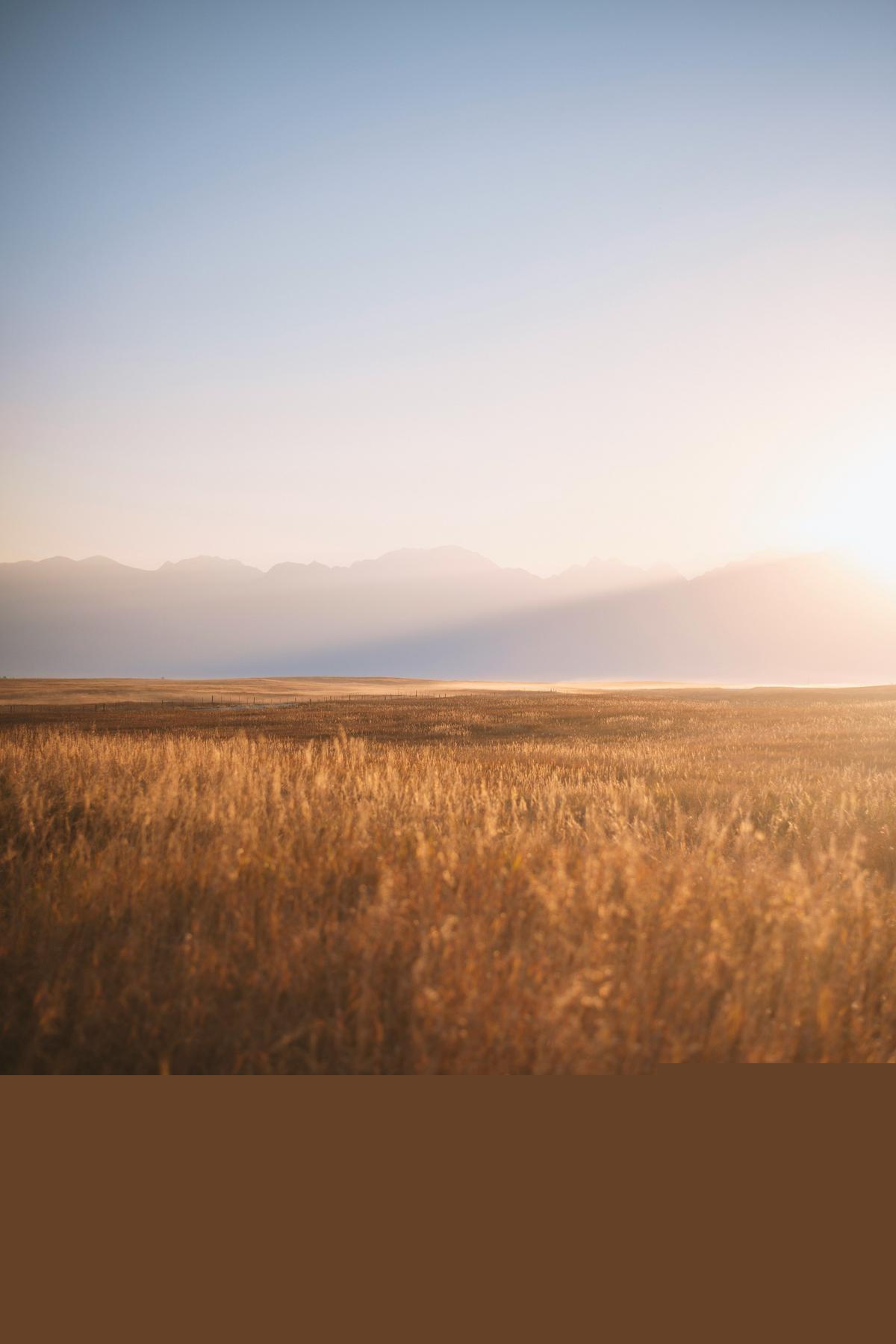Montana Is Ranked 17th For Underprivileged Children. Here's Why.