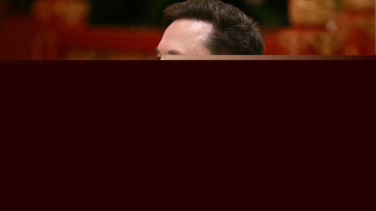 'Let's enjoy the ride' says Elon Musk, as AI fears mount