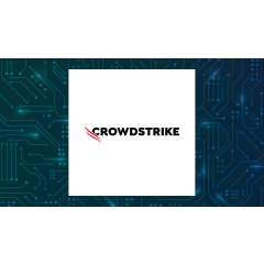CrowdStrike (NASDAQ:CRWD) Trading Down 1.6%  – Here’s Why