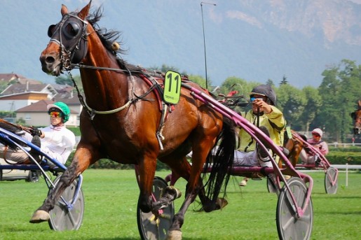 Harlem de Bucy wins Trophee Vert Leg 11