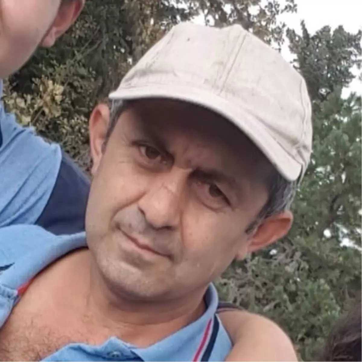 Bolu'da Ağaç Devrilmesi Sonucu Bir Kişi Hayatını Kaybetti