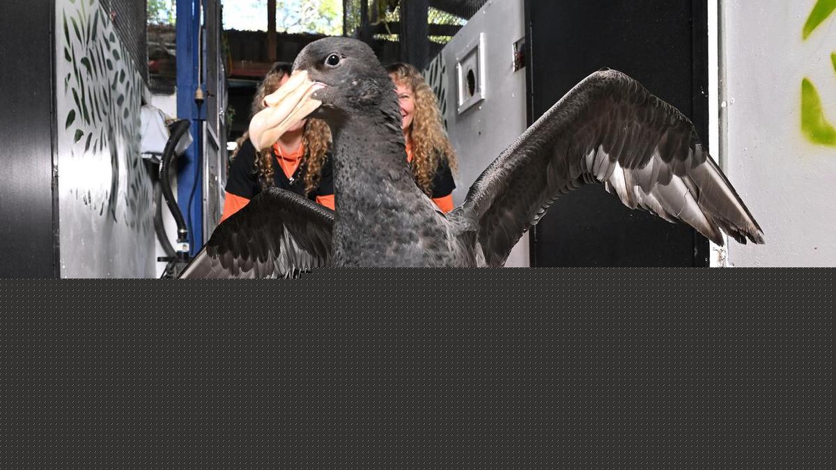 Warning for human bird-flu transmissions as cases soar