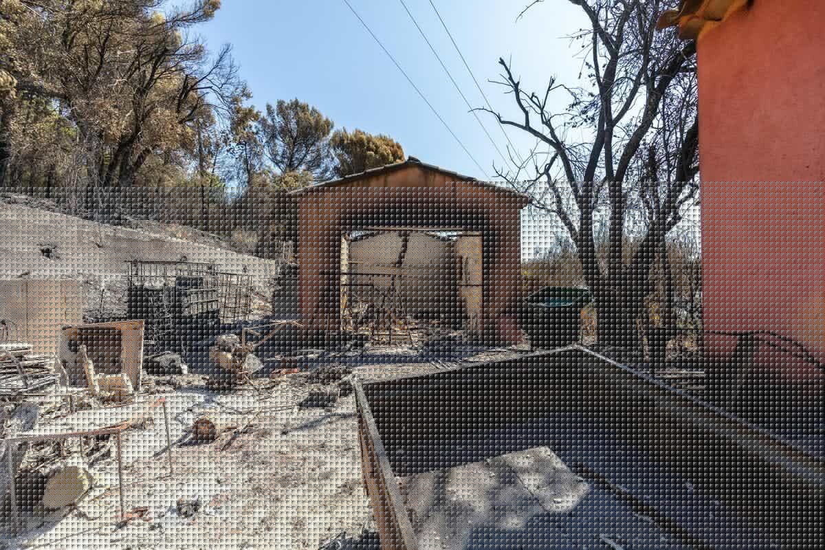 Éviter la suie, cendres et poussières, ne pas consommer d’œufs, porter un masque FFP2… Les recommandations sanitaires de l’ARS après les incendies dans le Var