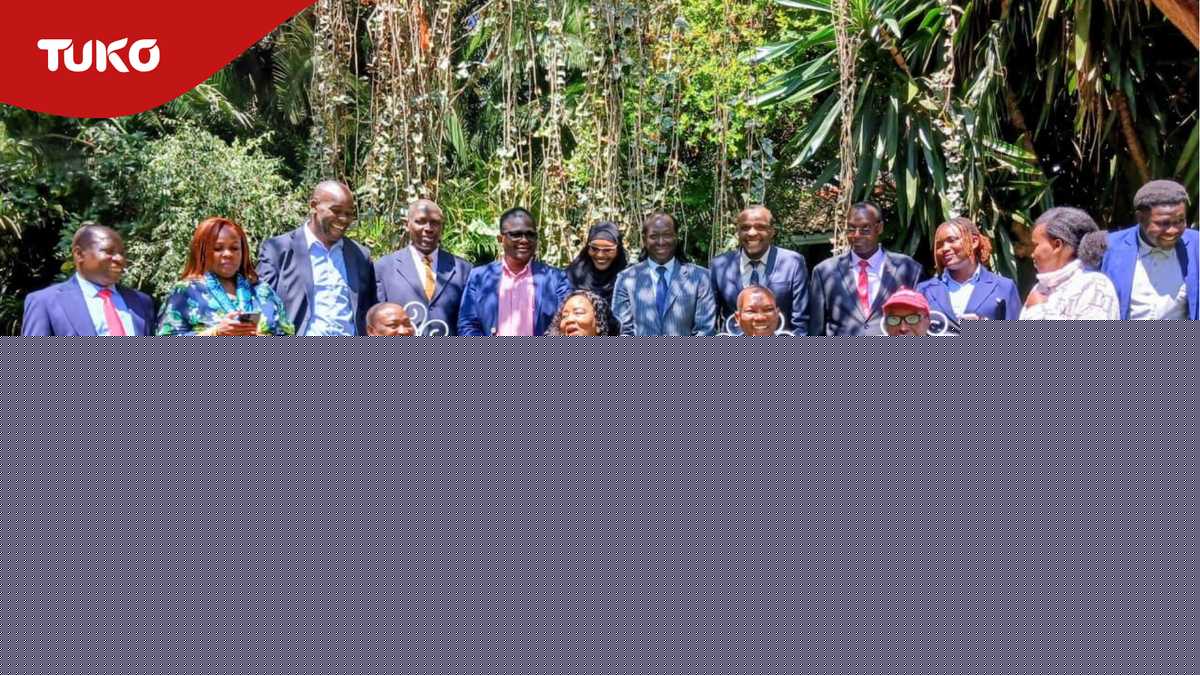 Nairobi: 10 political party leaders visit Mama Ida's home, pledge to uphold Raila's legacy